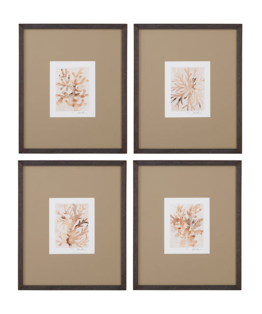 Bassett Mirror - Parchment Coral Framed Print Set of 4 in Brown - 9902-275-000 view 1