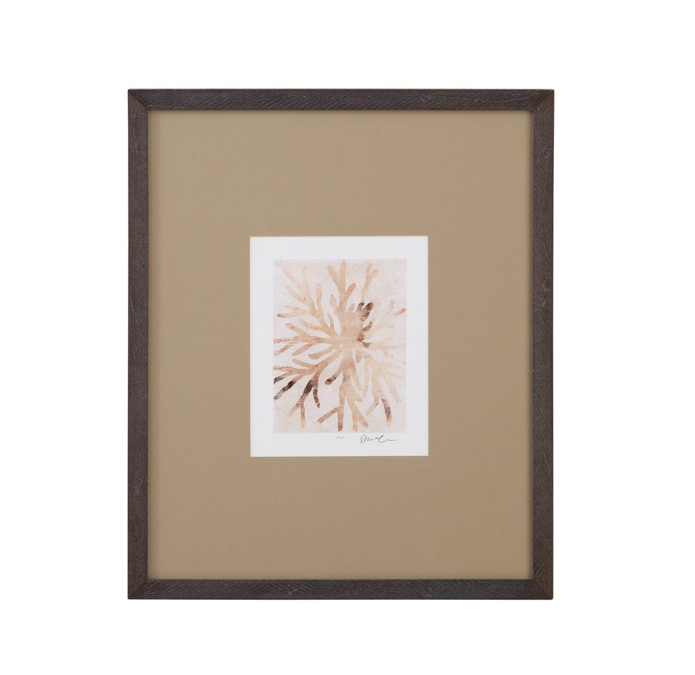 Bassett Mirror - Parchment Coral II Framed Print in Brown - 9902-275B view 1
