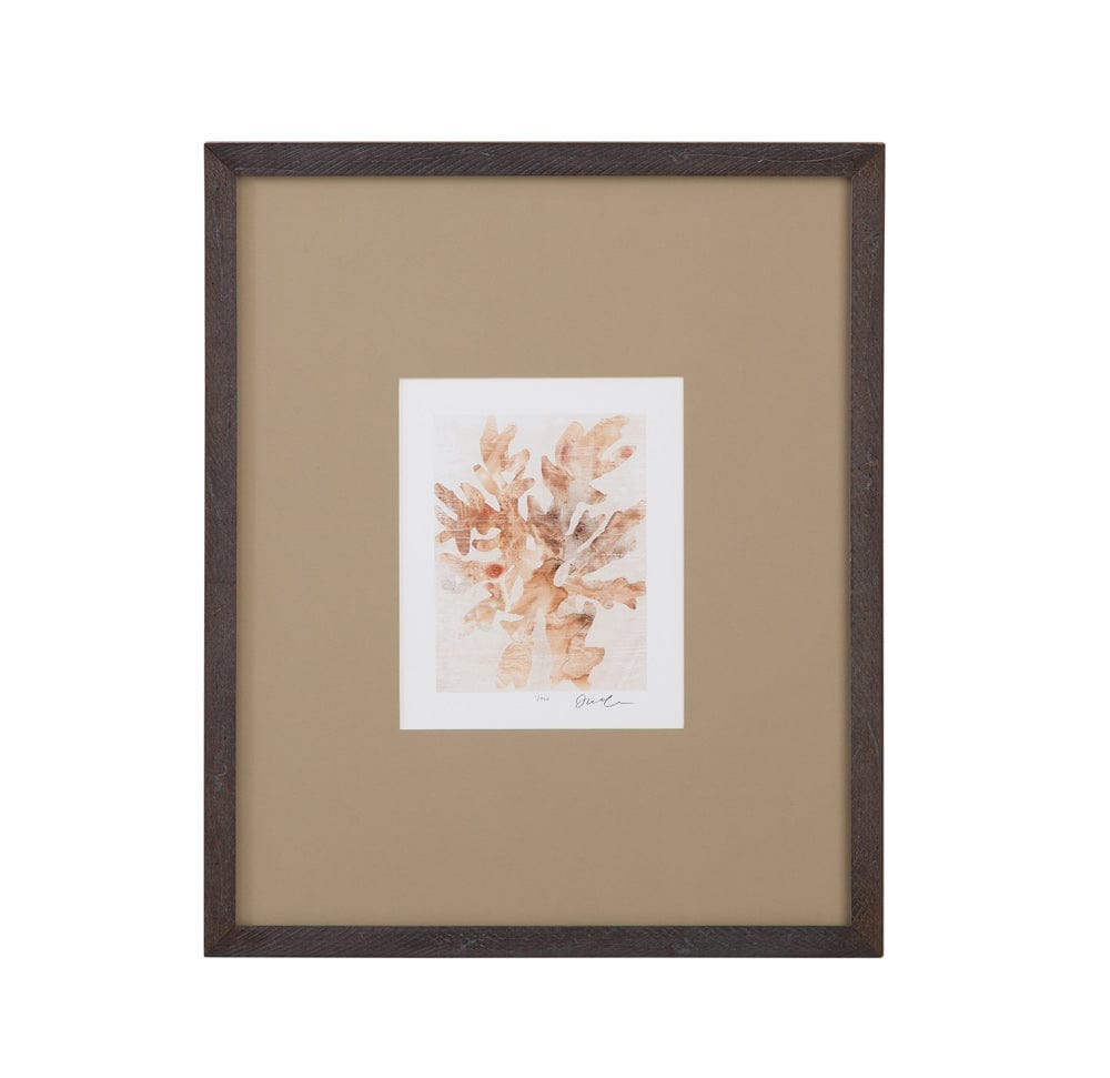Bassett Mirror - Parchment Coral IV Framed Print in Brown - 9902-275E view 1