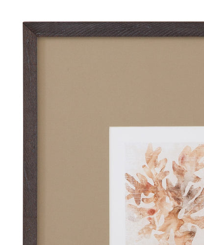 Bassett Mirror - Parchment Coral IV Framed Print in Brown - 9902-275E view 2