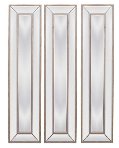 Bassett Mirror - Pompano Floor Mirror - M3846BEC veiw 2