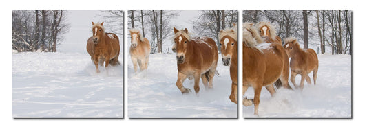 Baxton Studio - 0 Print Triptych - VC-2050ABC view 1