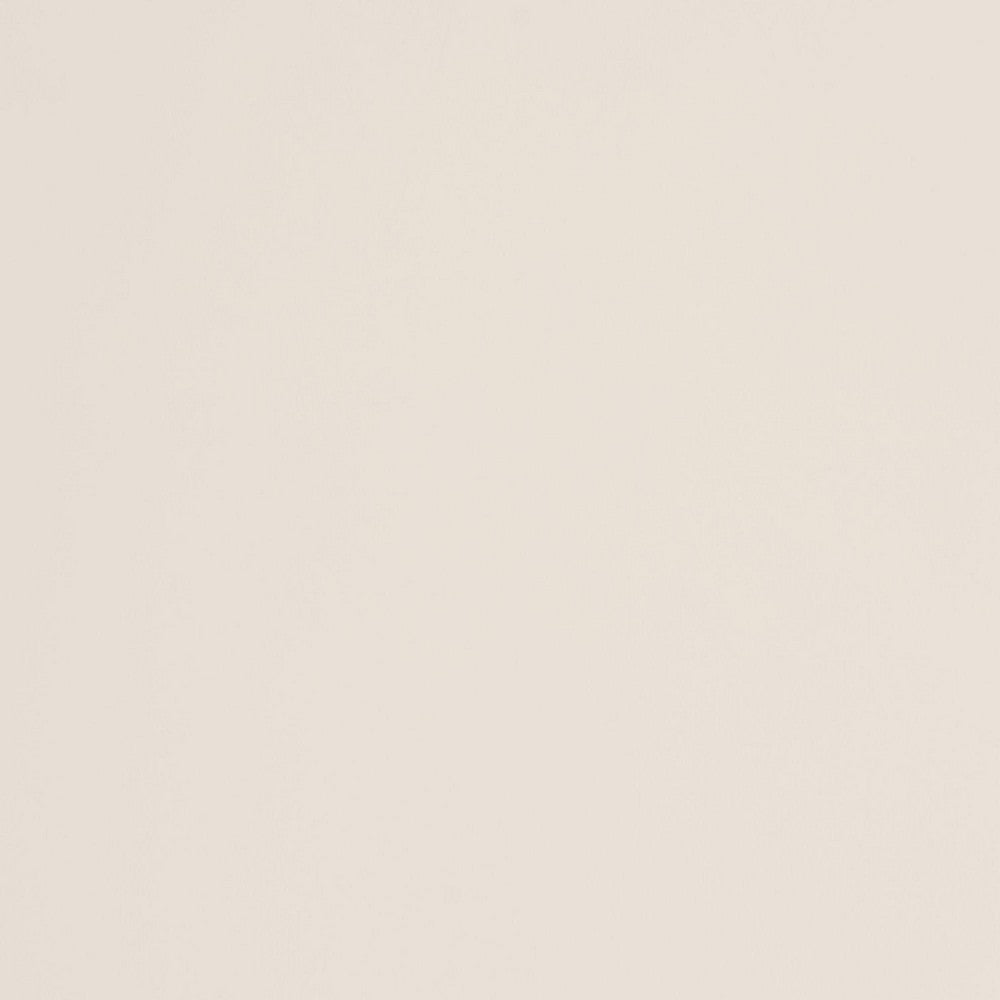 Baxton Studio - Braith Chest in Ivory - SW8000-88CH5D-Ivory-Chest view 7