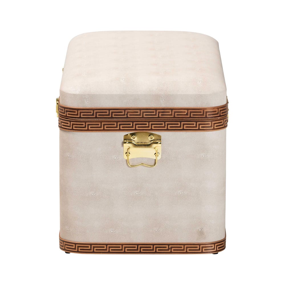 Baxton Studio - Brenner Storage Trunk in Beige/Brown/Gold - JY24A092-Large-Beige/Shagreen-Storage Ottoman view 4