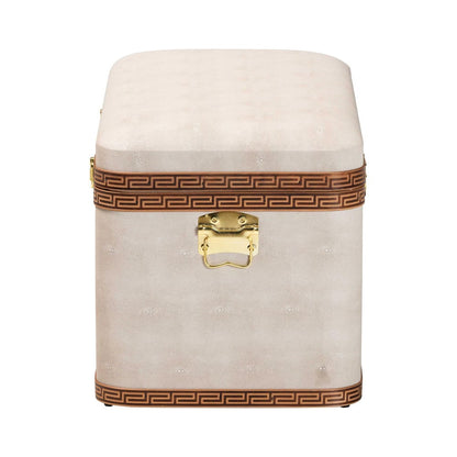 Baxton Studio - Brenner Storage Trunk in Beige/Brown/Gold - JY24A092-Large-Beige/Shagreen-Storage Ottoman view 4