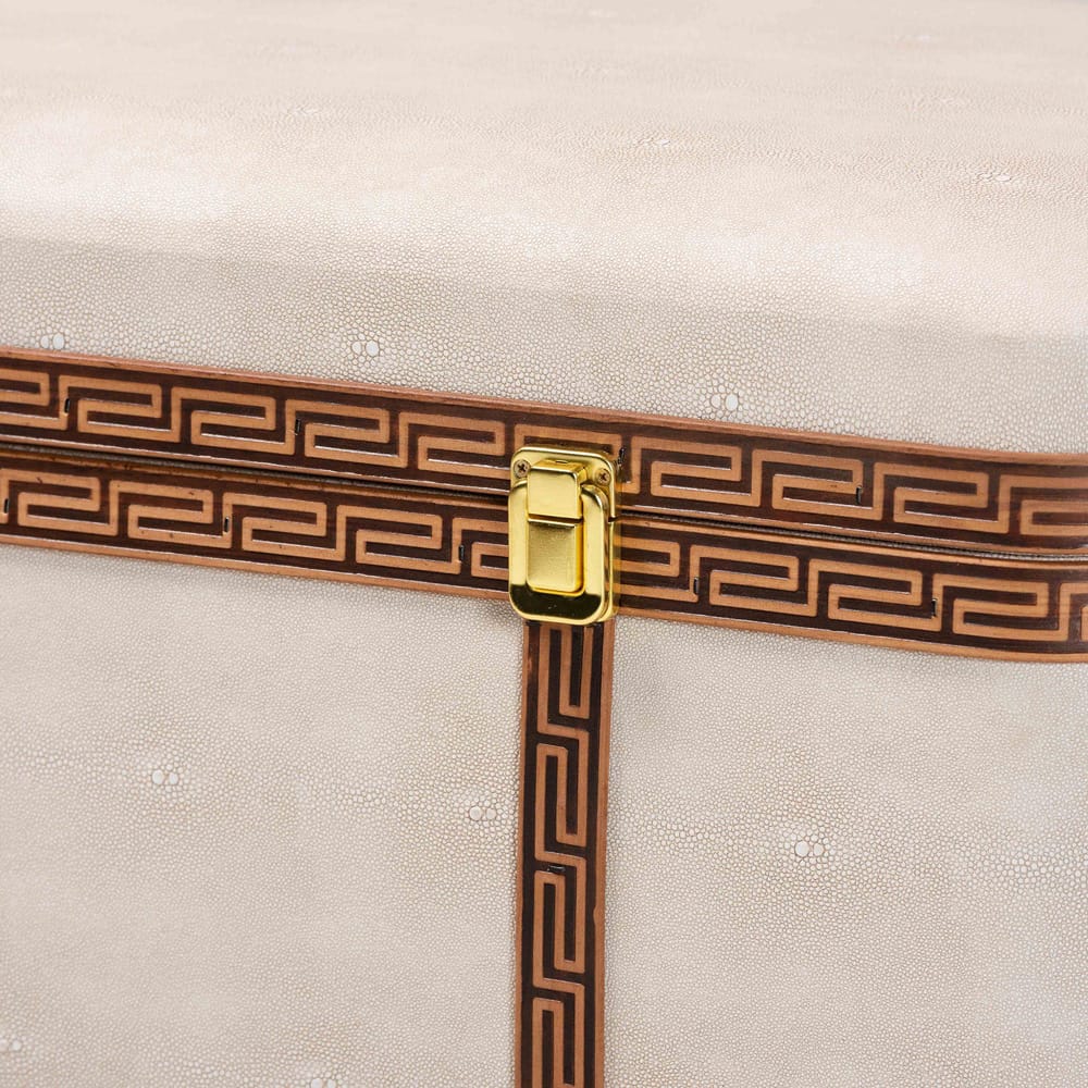 Baxton Studio - Brenner Storage Trunk in Beige/Brown/Gold - JY24A092-Large-Beige/Shagreen-Storage Ottoman view 6