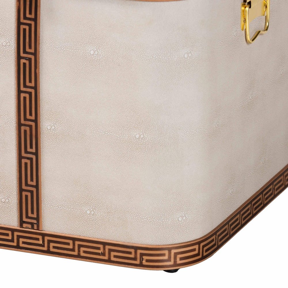 Baxton Studio - Brenner Storage Trunk in Beige/Brown/Gold - JY24A092-Large-Beige/Shagreen-Storage Ottoman view 7