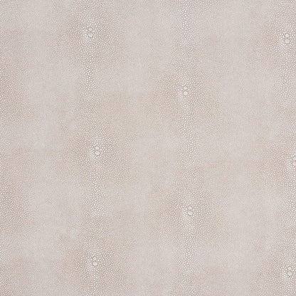 Baxton Studio - Nira Storage Cabinet in Beige/Brass - JY24A042-Beige Faux Shagreen-Cabinet view 8