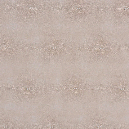 Baxton Studio - Nira Storage Cabinet in Beige/Brass - JY24B281-Beige Faux Shagreen-Cabinet view 8
