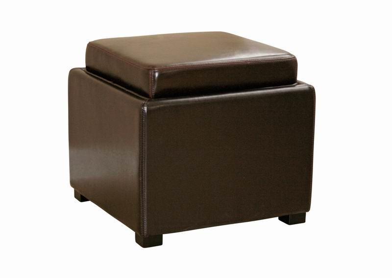 Baxton Studio - Ottoman in Dark Brown - D-219-DU001 view 1