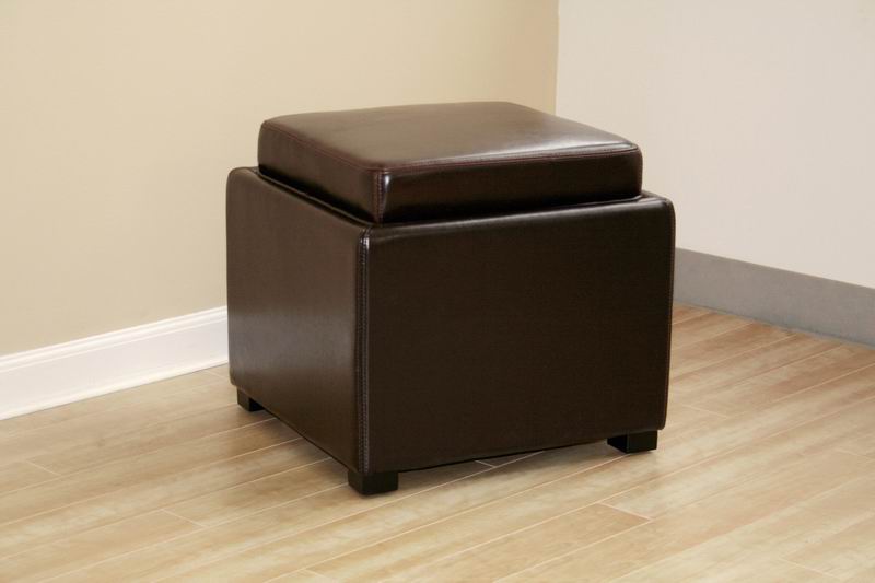 Baxton Studio - Ottoman in Dark Brown - D-219-DU001 view 2