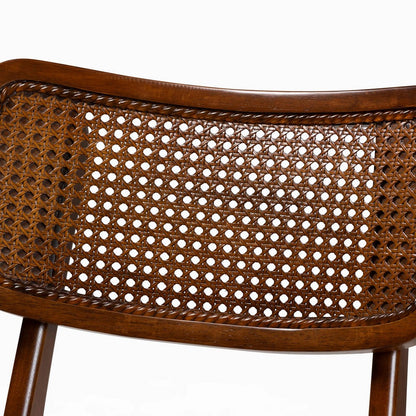 Baxton Studio - Tafari Set of 2 Dining Chairs in Walnut Brown/Light Brown - RH254C-Walnut Rattan/Walnut Bent Seat-DC-2PK view 4