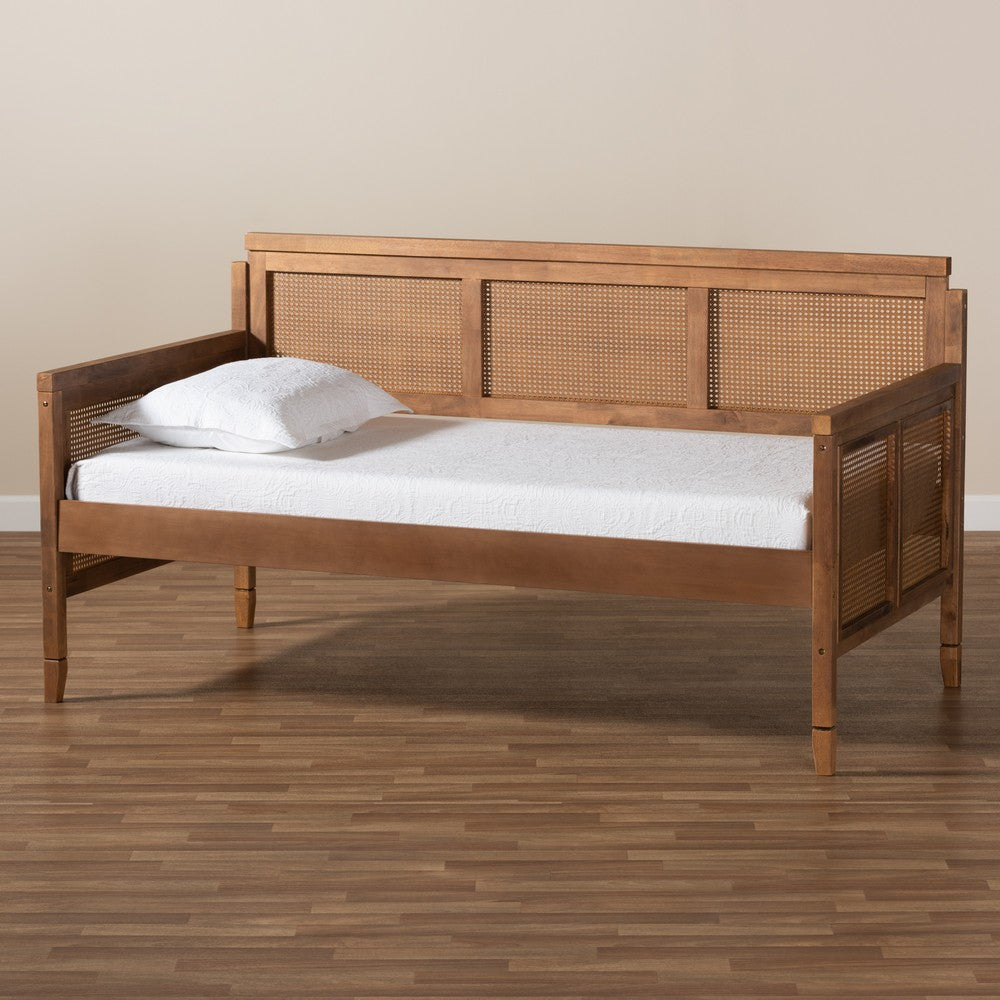 Baxton Studio - Toveli Daybed in Ash walnut - MG0015-Ash Walnut Rattan-Daybed view 7