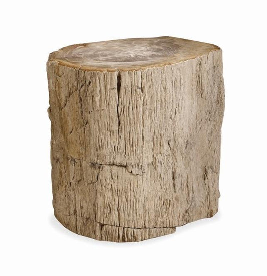 Bernhardt - Interiors Petrified Wood Side Table - 319712 veiw 1