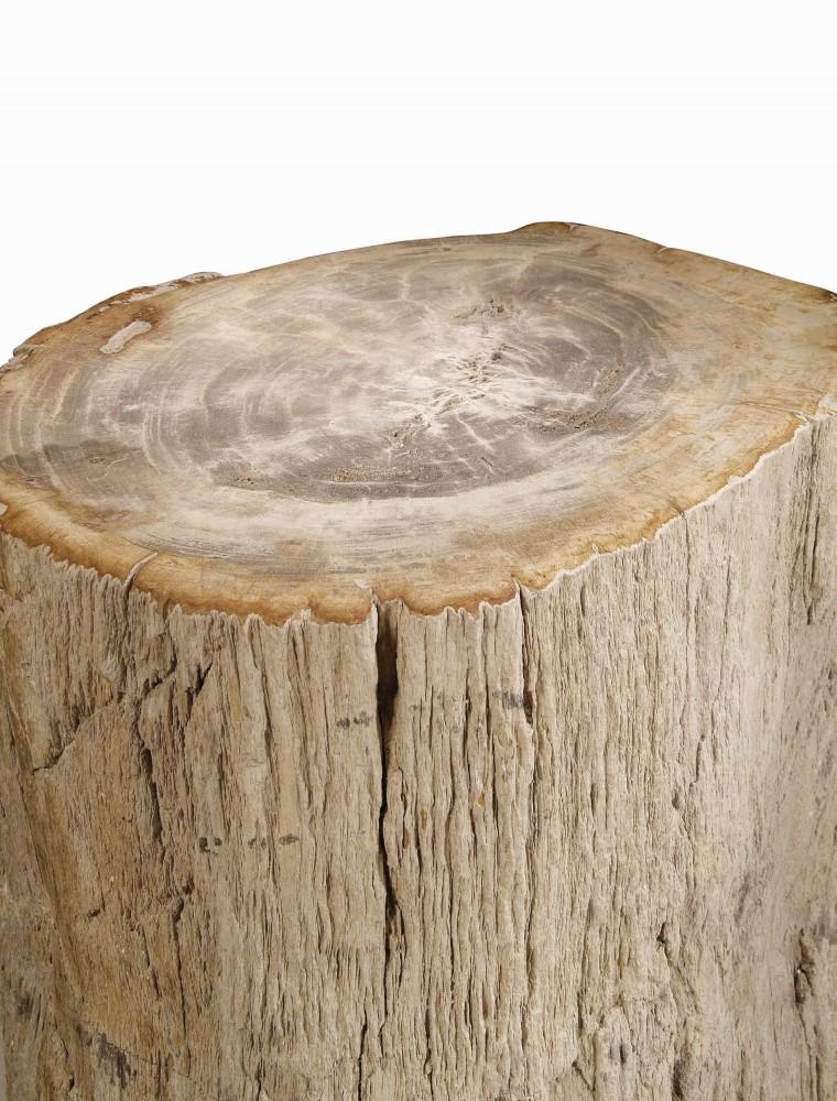 Bernhardt - Interiors Petrified Wood Side Table - 319712 veiw 2
