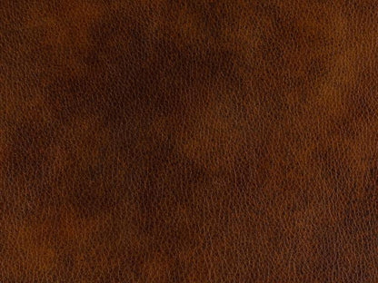 Bradington-Young - Richardson Stationary Sofa 8-Way Tie - Cognac Brown - BYX-866-95980015-87PLNBTur veiw 3