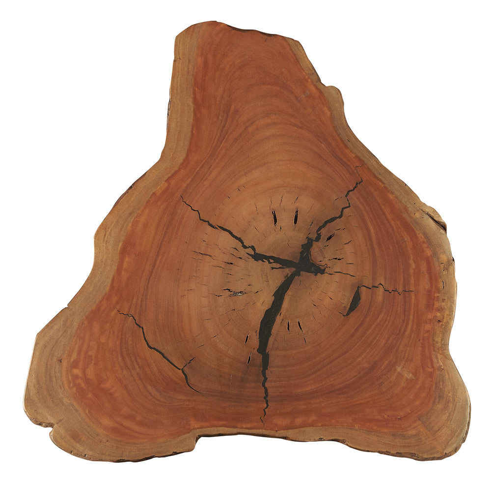 Butler Specialty Company - Ipswich Live Edge Side Table, Multi-Color - 3877140