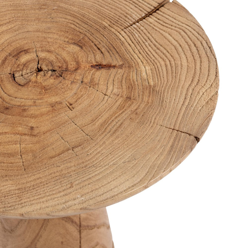 Classic Home - Alina Reclaimed Elm Accent Table - Natural - 51005541 view 3