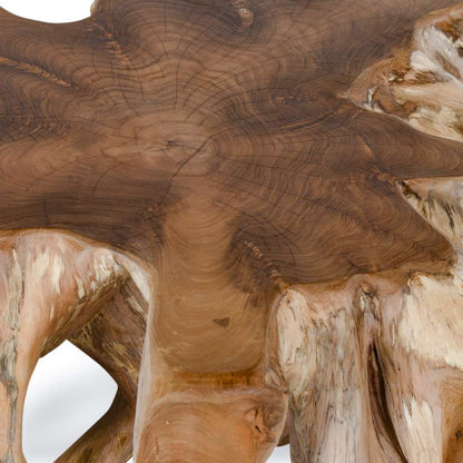 Classic Home - Cypress Root Coffee Table Natural - 51005386 veiw 3