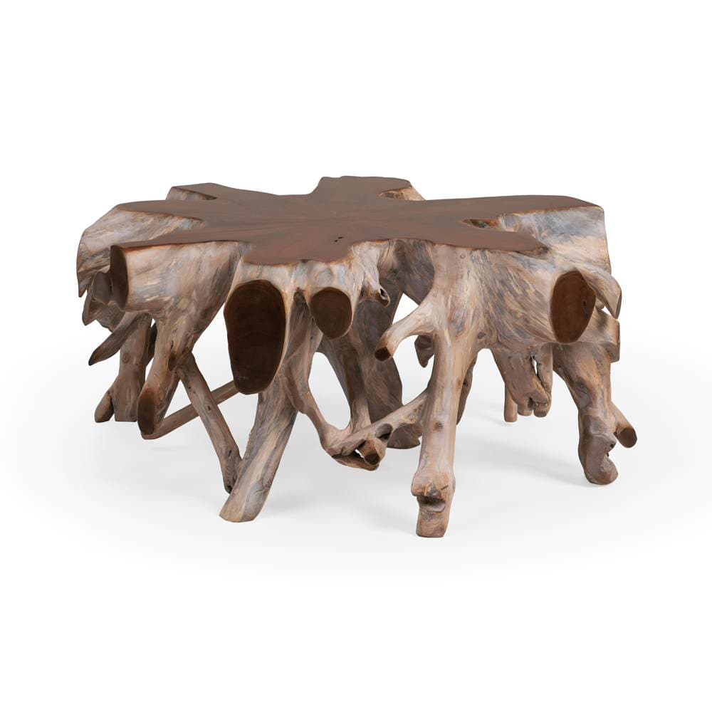 Classic Home - Groot Coffee Table - 51000013 view 1