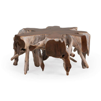 Classic Home - Groot Coffee Table - 51000013 view 2