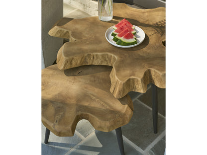 Coastal Living - Driftwood Nesting Tables - Natural Teak - U533821 view 5