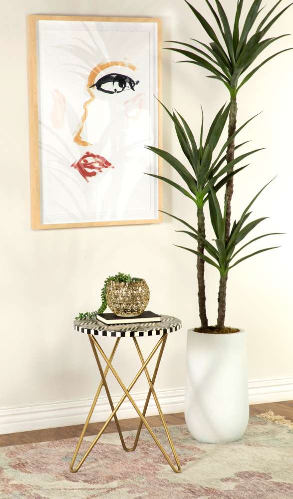 Coaster - Xenia  Accent Table - 935878 veiw 1