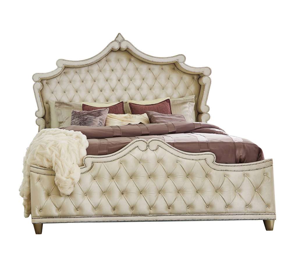 Coaster Antonella Bed - Thumbnail 2