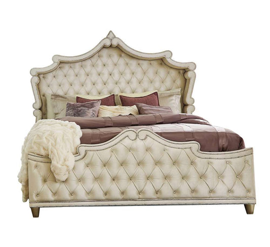 Coaster -  Antonella C King Bed - 223521KW veiw 2