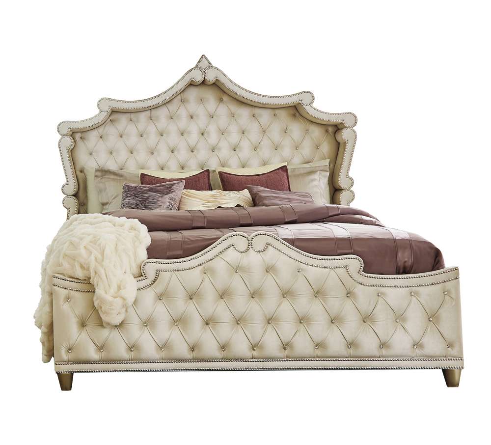 Coaster -  Antonella Queen Bed - 223521Q veiw 2