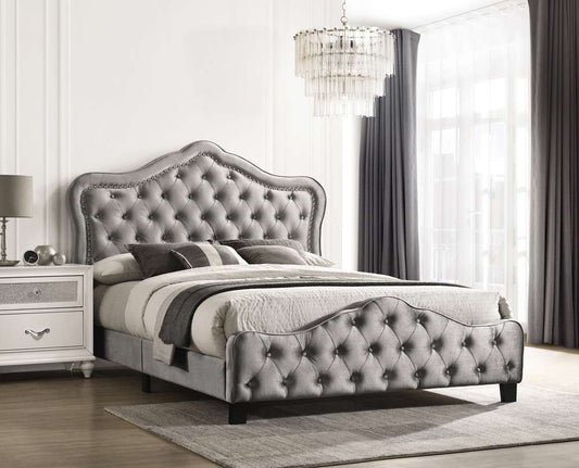 Coaster -  Bella Queen Bed - 315871Q veiw 1
