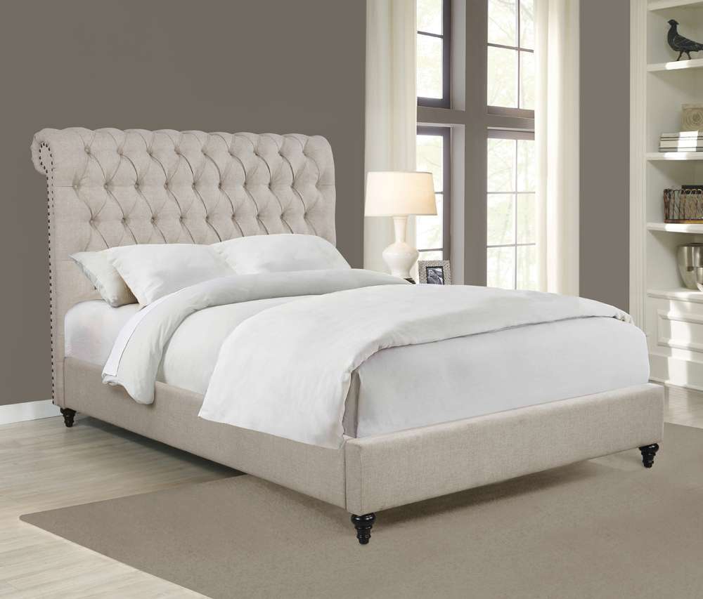 Coaster -  Devon Upholstered Bed Queen Bed - 300525Q veiw 3
