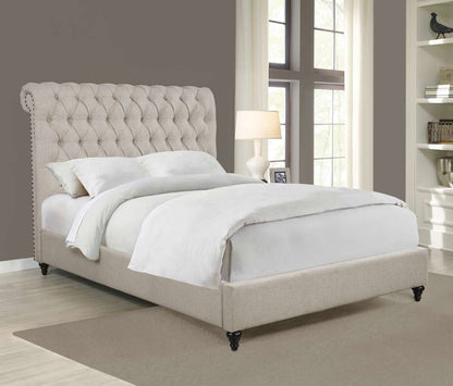 Coaster -  Devon Upholstered Bed Queen Bed - 300525Q veiw 3