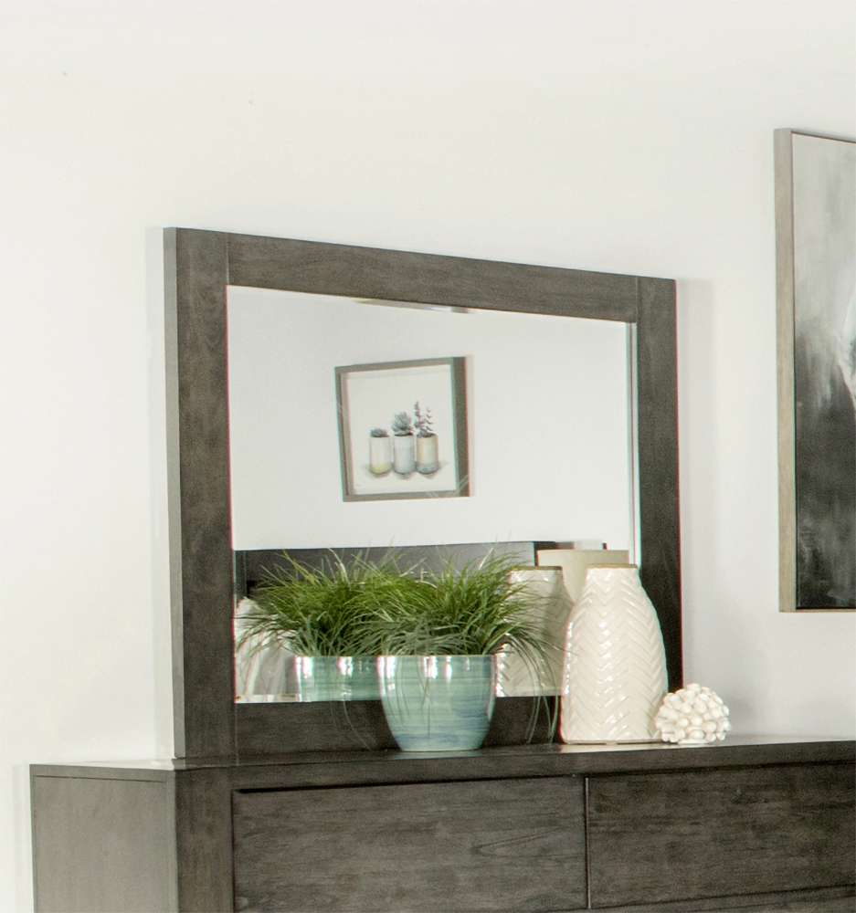 Coaster -  Lorenzo Mirror - 224264 veiw 1