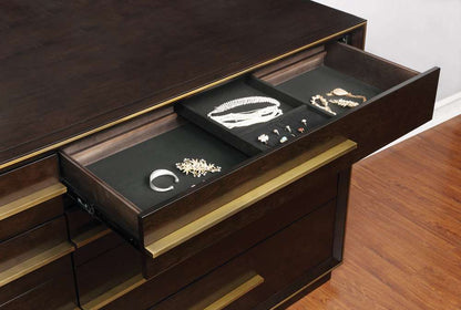 Coaster - Durango Luddington Dresser - 223263 veiw 5
