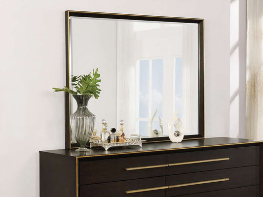 Coaster - Durango Luddington Mirror - 223264 veiw 2