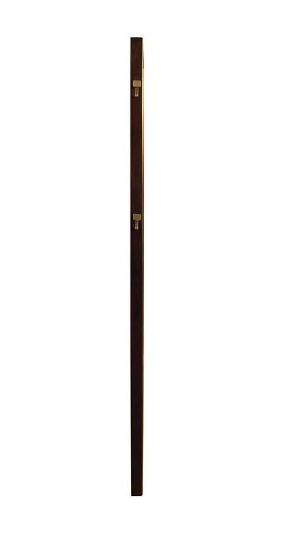 Coaster - Durango Luddington Mirror - 223270 veiw 2