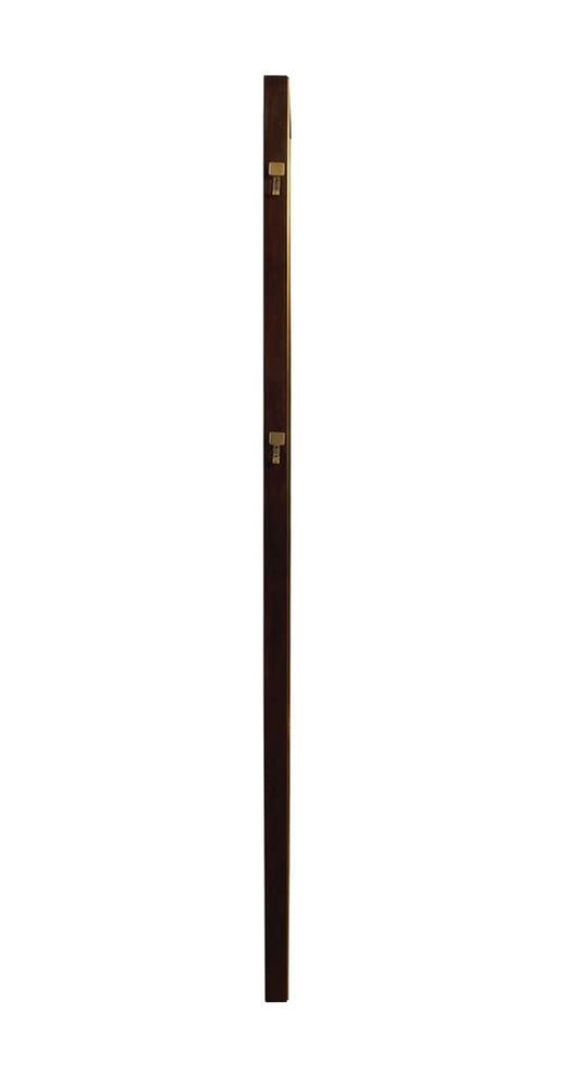 Coaster - Durango Luddington Mirror - 223270 veiw 2
