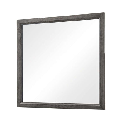 Coaster - Watson  Mirror - 212424 veiw 2