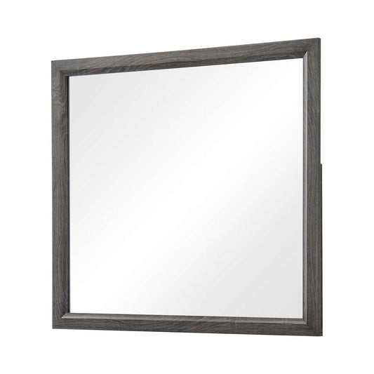 Coaster - Watson  Mirror - 212424 veiw 2