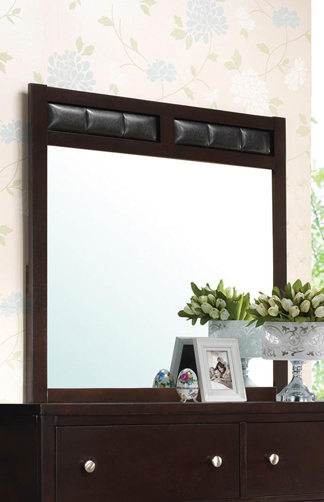 Coaster - Carlton Mirror (Cappuccino) - 202094 veiw 1