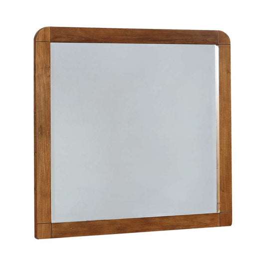 Coaster -  Robyn Mirror - 205134 veiw 1