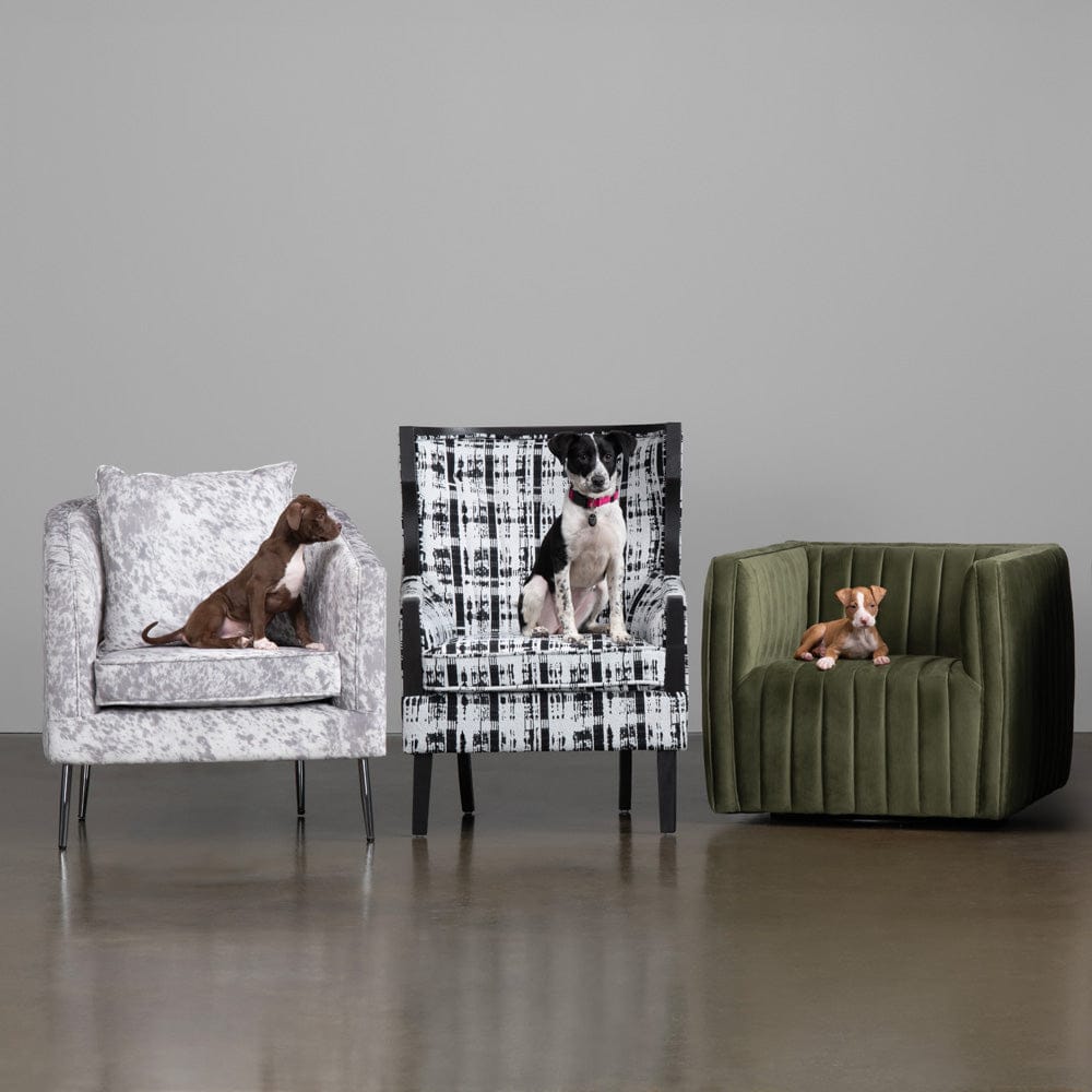 Crestview Collection - Black Upholstered Accent Arm Chair with Black Solid Wood Frame - CVFZR6153 view 4