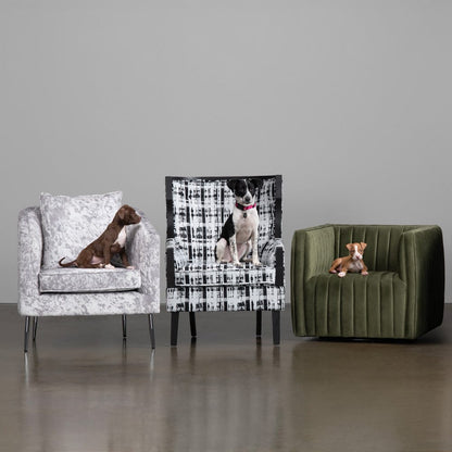 Crestview Collection - Black Upholstered Accent Arm Chair with Black Solid Wood Frame - CVFZR6153 view 4