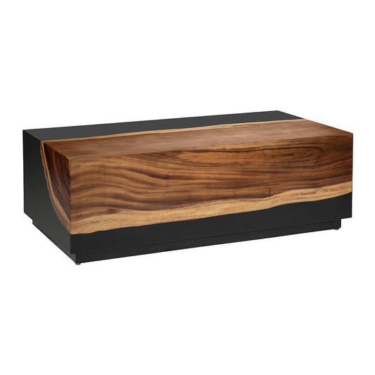 Crestview Collection - Cavallo Black Solid Wood Rectangle Coffee Table / Cocktail Table - CVFDR1337 view 1