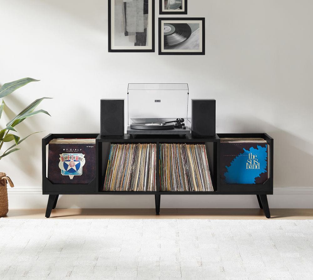 Crosley Furniture - Asheville Low Record Player Stand With Vinyl Storage - CF1149-BK view 8