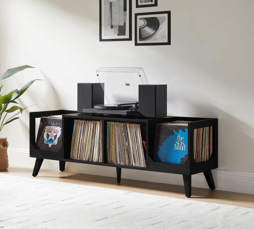 Crosley Furniture - Asheville Low Record Player Stand With Vinyl Storage - CF1149-BK view 9