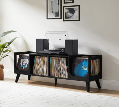 Crosley Furniture - Asheville Low Record Player Stand With Vinyl Storage - CF1149-BK view 9