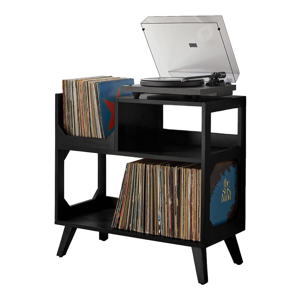 Crosley Furniture - Asheville Medium Record Player Stand With Vinyl Storage - CF1147-BK view 5
