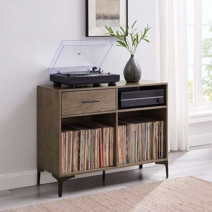Crosley Furniture Sydney Record Storage Media Console Walnut - CF4218-WA veiw 1